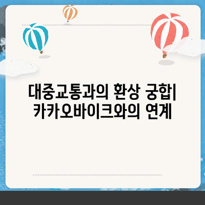 공유 전기자전거 카카오바이크 이용 후기