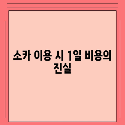 충청북도 제천시 백운면 렌트카 가격비교 | 리스 | 장기대여 | 1일비용 | 비용 | 소카 | 중고 | 신차 | 1박2일 2024후기