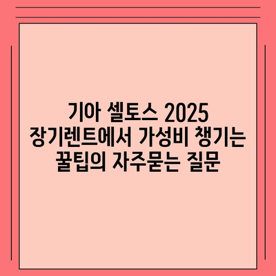 기아 셀토스 2025 장기렌트에서 가성비 챙기는 꿀팁