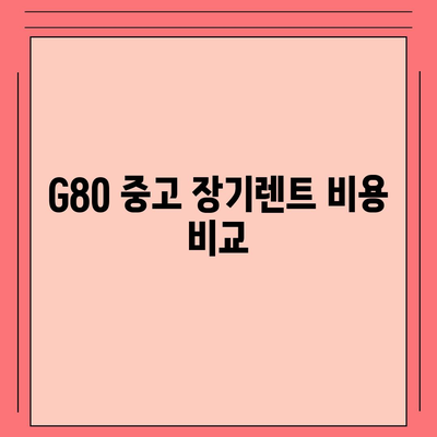 G80 중고 장기렌트 승리 후기