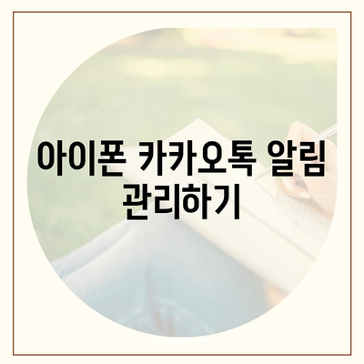 아이폰 카카오톡 미리보기 알림에 이름 비공개 설정