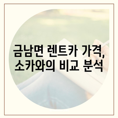 세종시 세종특별자치시 금남면 렌트카 가격비교 | 리스 | 장기대여 | 1일비용 | 비용 | 소카 | 중고 | 신차 | 1박2일 2024후기