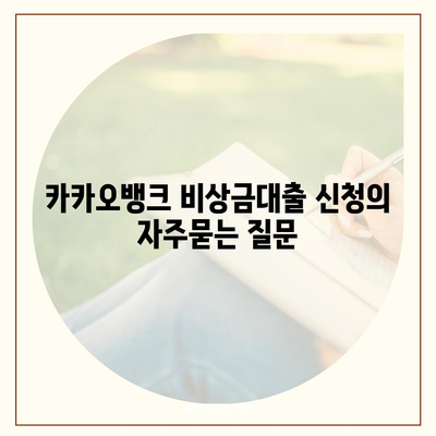 카카오뱅크 비상금대출 신청