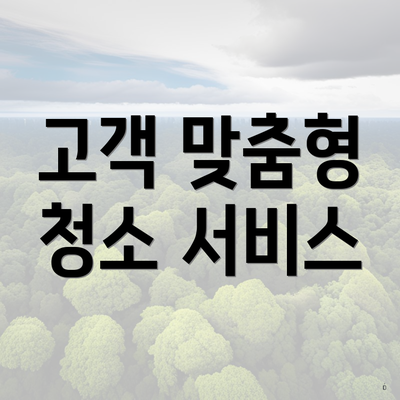 고객 맞춤형 청소 서비스