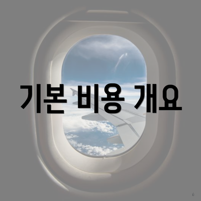 기본 비용 개요