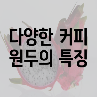 다양한 커피 원두의 특징