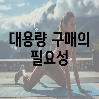 대용량 구매의 필요성