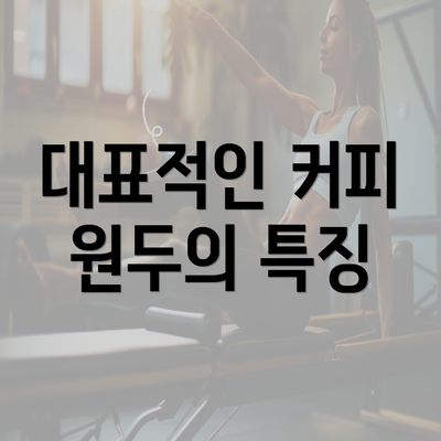 대표적인 커피 원두의 특징