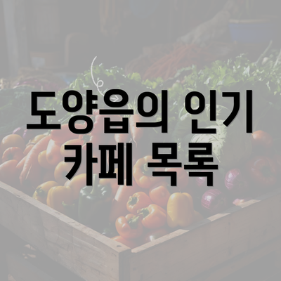 도양읍의 인기 카페 목록