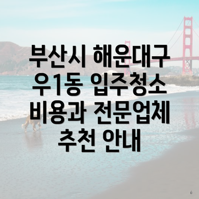 부산시 해운대구 우1동 입주청소 비용과 전문업체 추천 안내