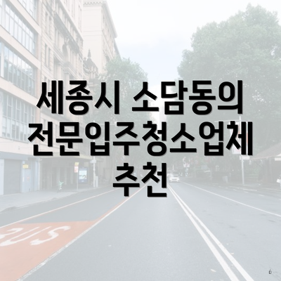 세종시 소담동의 전문입주청소업체 추천