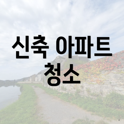 신축 아파트 청소