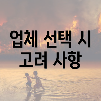 업체 선택 시 고려 사항