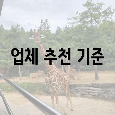 업체 추천 기준