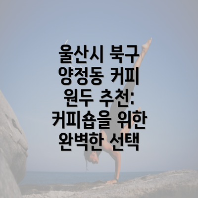 울산시 북구 양정동 커피 원두 추천: 커피숍을 위한 완벽한 선택