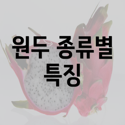 원두 종류별 특징