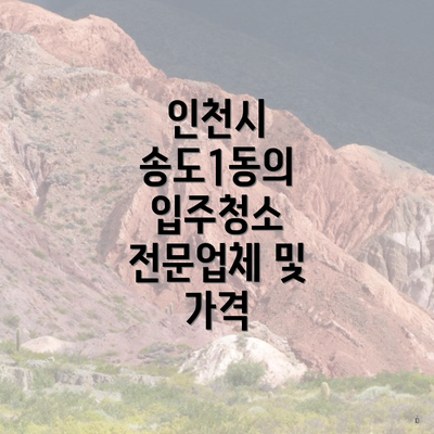 인천시 송도1동의 입주청소 전문업체 및 가격