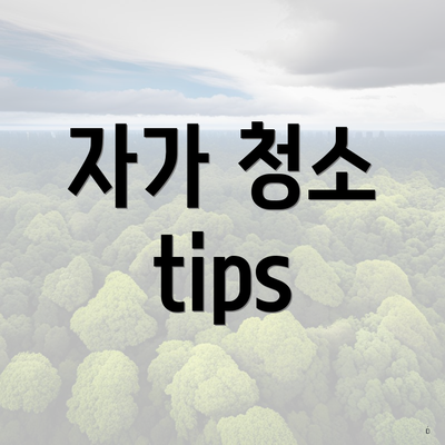 자가 청소 tips