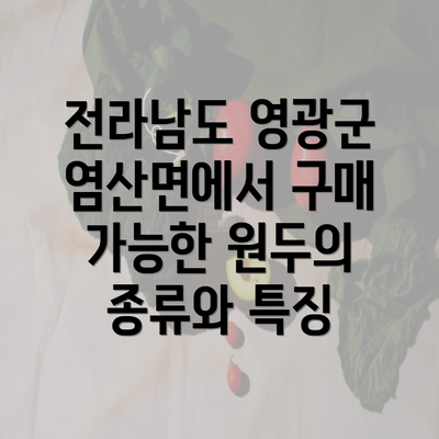 전라남도 영광군 염산면에서 구매 가능한 원두의 종류와 특징