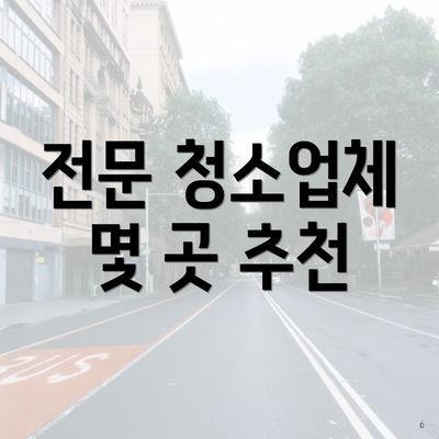 전문 청소업체 몇 곳 추천