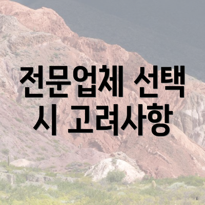 전문업체 선택 시 고려사항