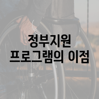 정부지원 프로그램의 이점