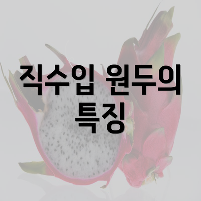 직수입 원두의 특징