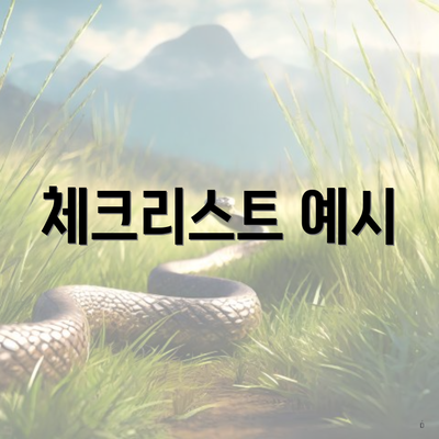 체크리스트 예시