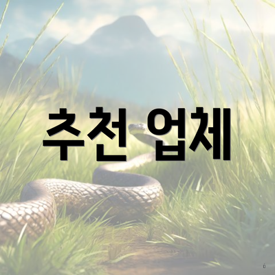 추천 업체