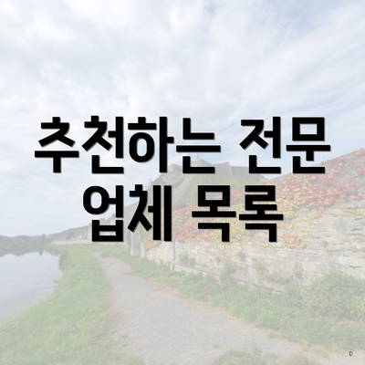 추천하는 전문 업체 목록