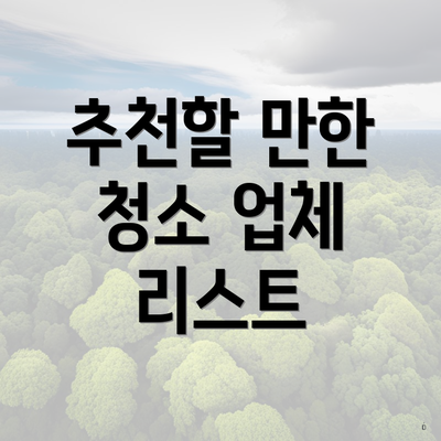 추천할 만한 청소 업체 리스트