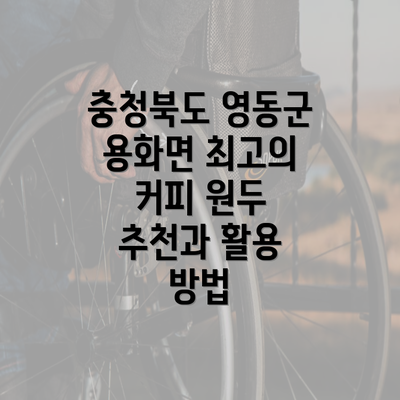 충청북도 영동군 용화면 최고의 커피 원두 추천과 활용 방법