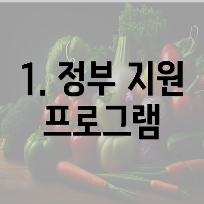 1. 정부 지원 프로그램