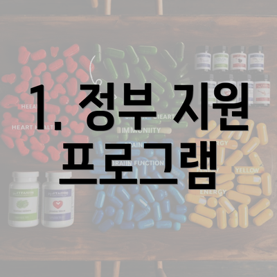 1. 정부 지원 프로그램