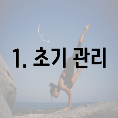 1. 초기 관리