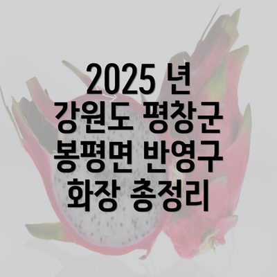 2025 년 강원도 평창군 봉평면 반영구 화장 총정리