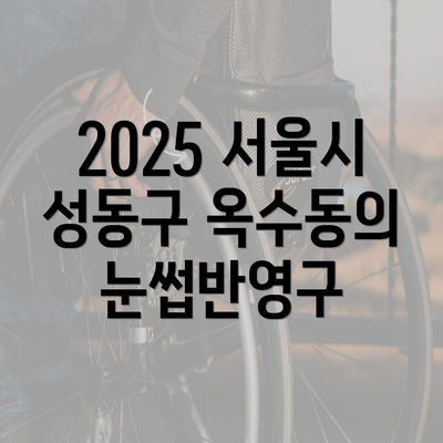 2025 서울시 성동구 옥수동의 눈썹반영구