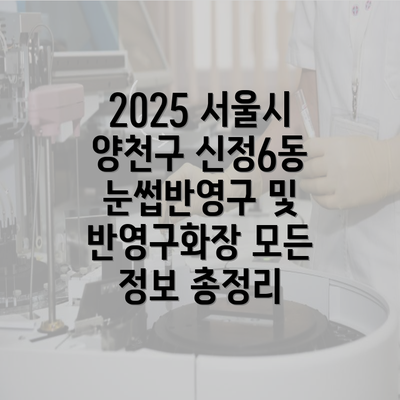 2025 서울시 양천구 신정6동 눈썹반영구 및 반영구화장 모든 정보 총정리