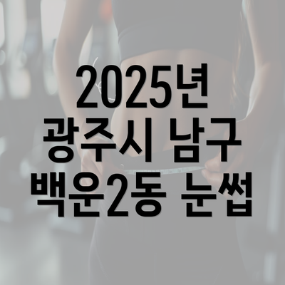 2025년 광주시 남구 백운2동 눈썹