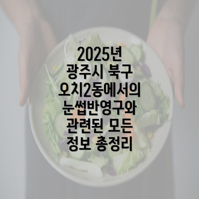 2025년 광주시 북구 오치2동에서의 눈썹반영구와 관련된 모든 정보 총정리