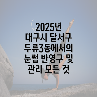 2025년 대구시 달서구 두류3동에서의 눈썹 반영구 및 관리 모든 것