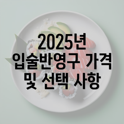 2025년 입술반영구 가격 및 선택 사항