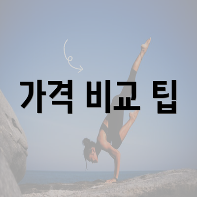 가격 비교 팁