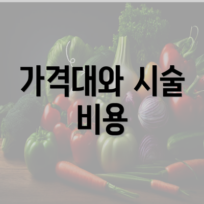 가격대와 시술 비용