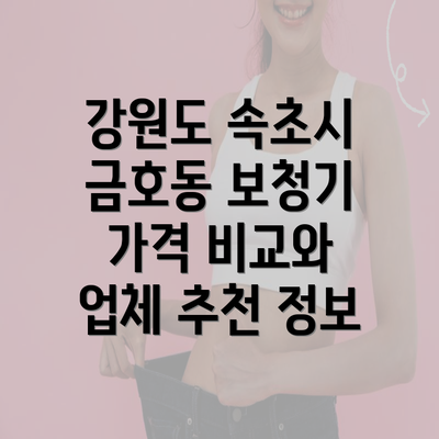 강원도 속초시 금호동 보청기 가격 비교와 업체 추천 정보