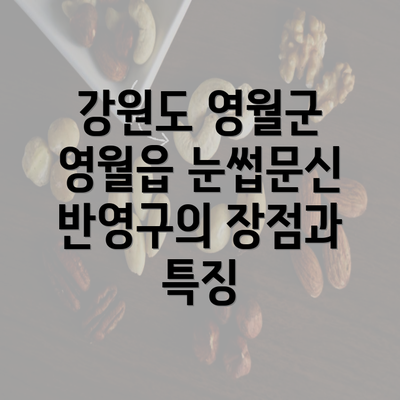 강원도 영월군 영월읍 눈썹문신 반영구의 장점과 특징