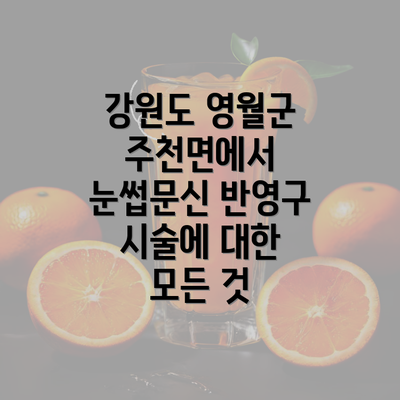 강원도 영월군 주천면에서 눈썹문신 반영구 시술에 대한 모든 것