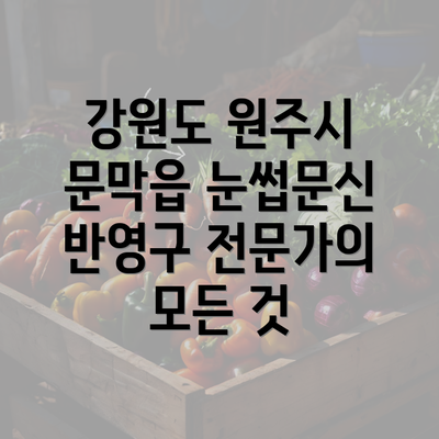 강원도 원주시 문막읍 눈썹문신 반영구 전문가의 모든 것