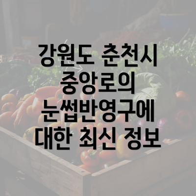 강원도 춘천시 중앙로의 눈썹반영구에 대한 최신 정보