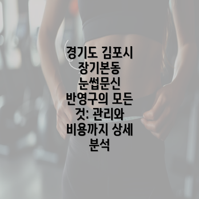 경기도 김포시 장기본동 눈썹문신 반영구의 모든 것: 관리와 비용까지 상세 분석